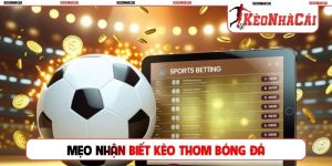 Mẹo nhận biết kèo thơm bóng đá